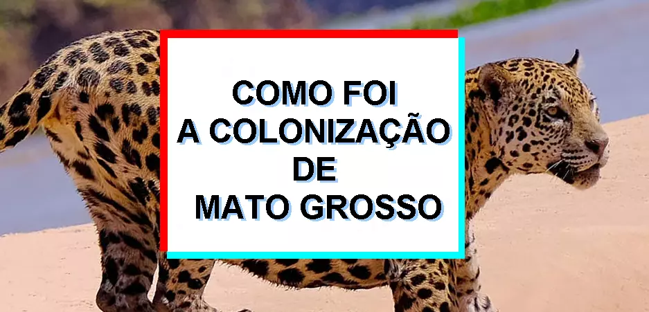 Como foi a colonização de Mato Grosso